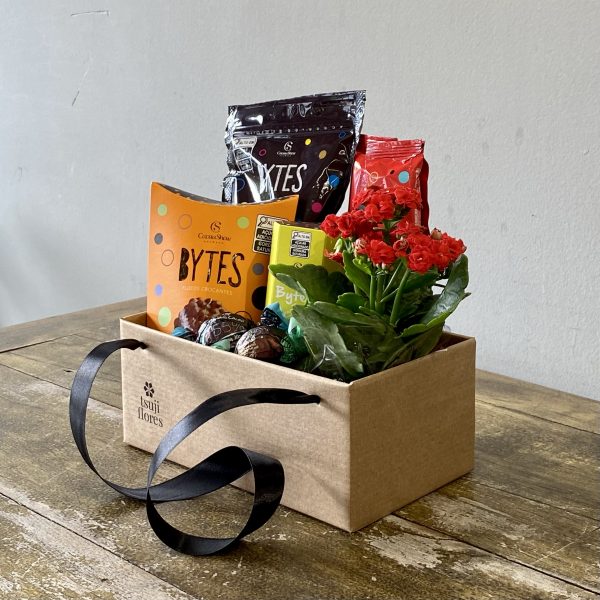 caixa de chocolates kit flor&cacau bytes