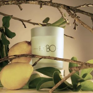 vela perfumada Lenvie | Patbo - summer pear