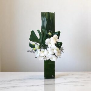arranjo "luana branca" - orquídea denphale