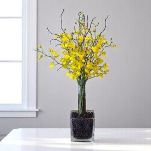 arranjo "ellen" - orquídea chuva-de-ouro
