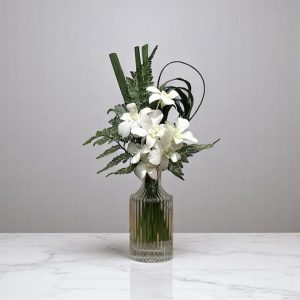 arranjo "pequena luana branca" - orquídea denphale