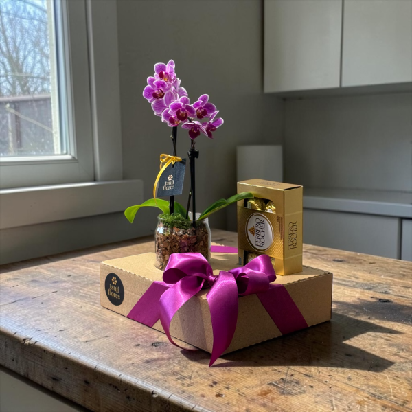 kit mini orquidea com ferrero